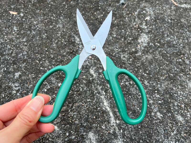 セリアの「ステンレス枝切り鋏(直)」は太さ5mm以下の枝や茎に対応