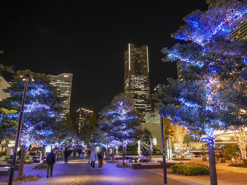 全長約1.5キロにおよぶ各エリアが約35万球のLEDライトでライトアップ