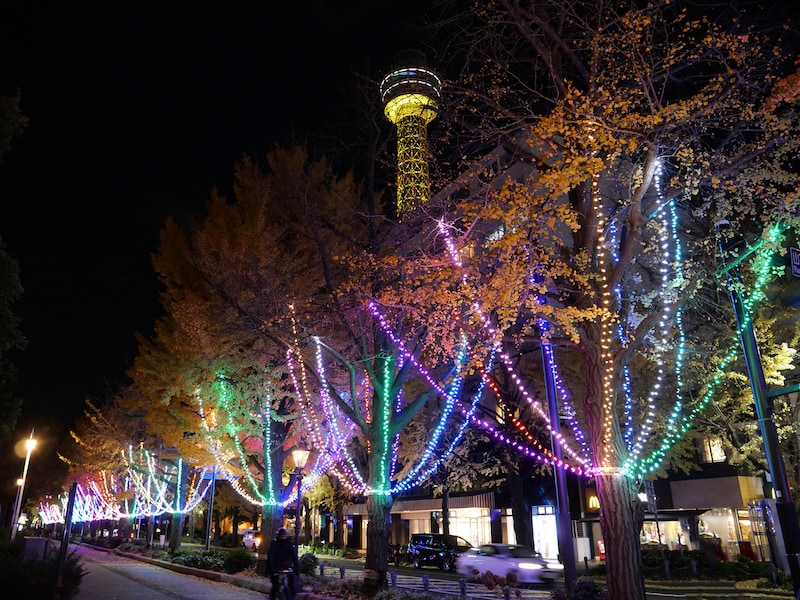 山下公園で初開催の「イルミーヌ・ヨコハマ 2023～横浜の未来が輝く～」