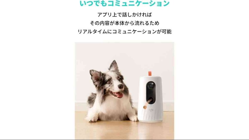 画像引用：Amazon（https://www.amazon.co.jp/dp/B09G9TBY85）