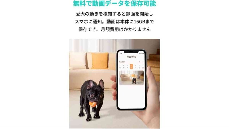 画像引用：Amazon（https://www.amazon.co.jp/dp/B09G9TBY85）