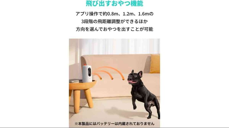 画像引用：Amazon（https://www.amazon.co.jp/dp/B09G9TBY85）