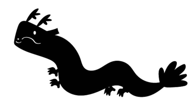 イラスト,年賀状,干支,辰,龍,フリー素材