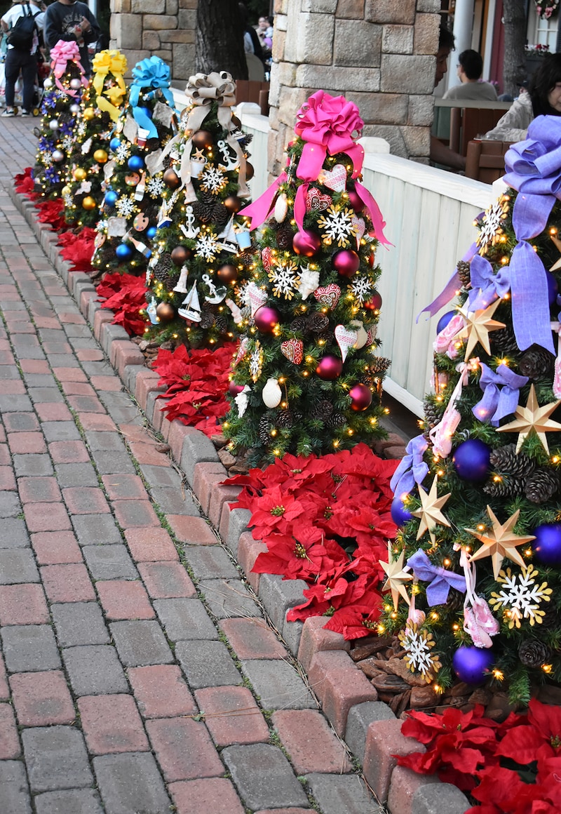 ディズニー・クリスマス