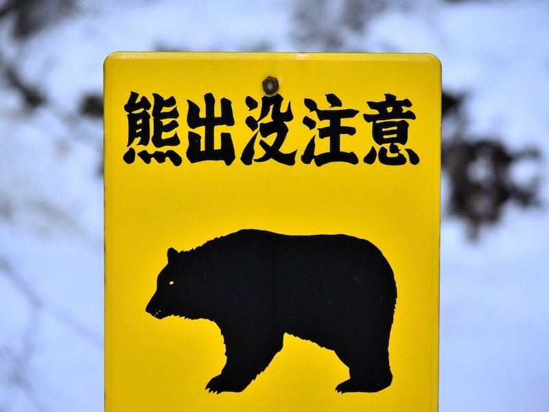 冬のレジャーでも、クマとの遭遇に注意したい