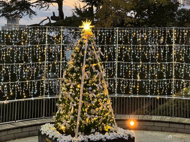 デフォルト設定で撮影した画像