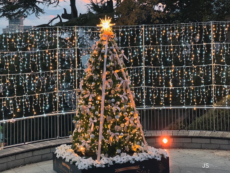 「フォトグラフスタイル」から「暖かい」を選択して撮影した画像