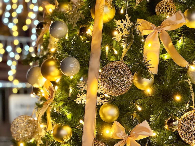 明るさをプラス1.0に設定して撮影した画像