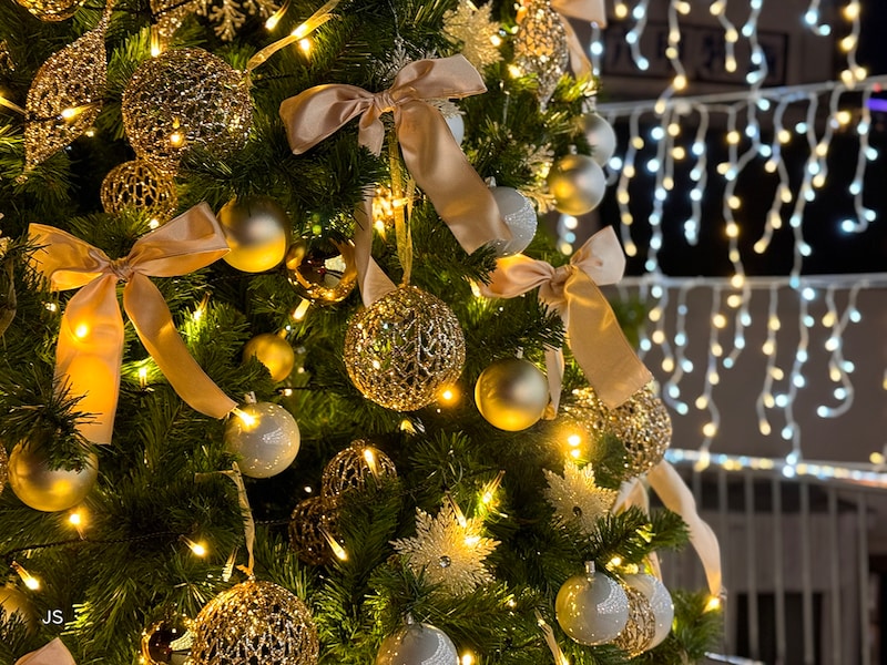 ポートレートモードで背景ボケを作ってみた例