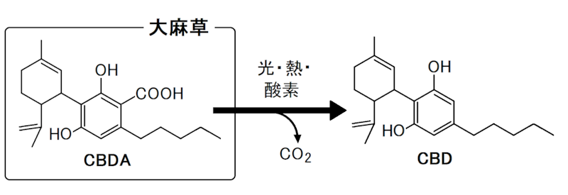 大麻草,CBD,CBDA