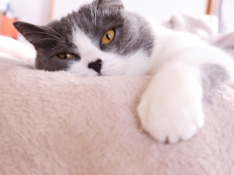 「クズ男」に惹かれてしまうのはなぜ? 魅力がある?