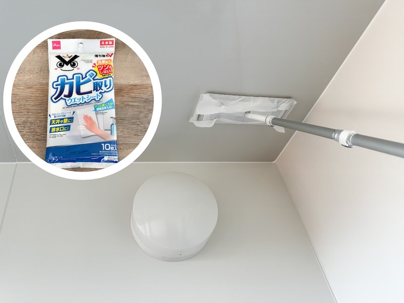 カビ取り用ウエットシート