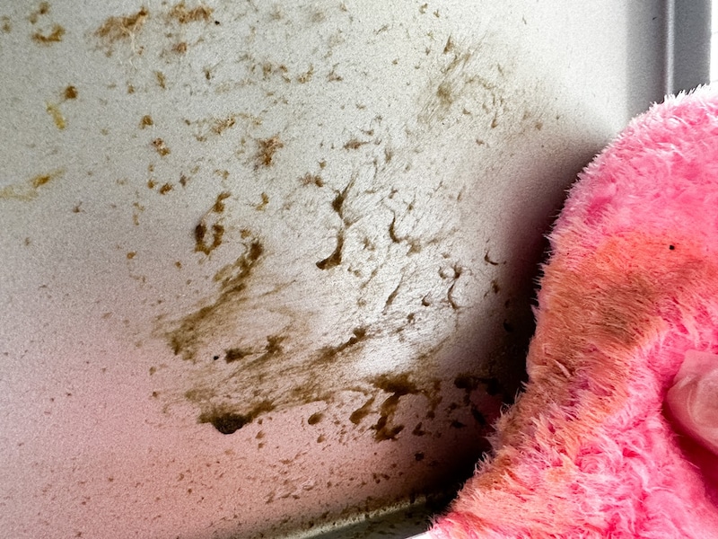 ギトギト油を「パルスイクロス」で掃除