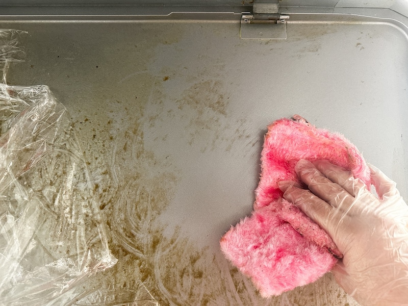 アルカリ電解水と「パルスイクロス」で掃除