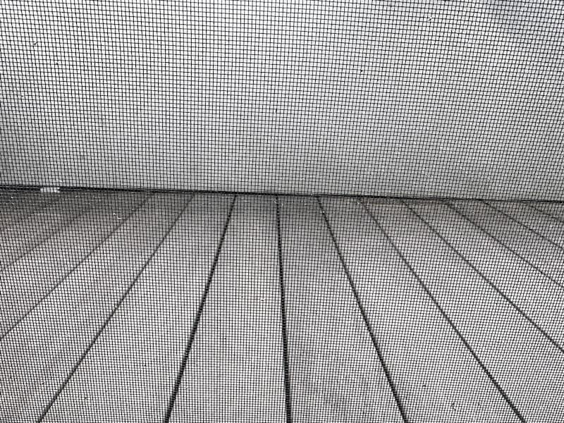 掃除できた網戸