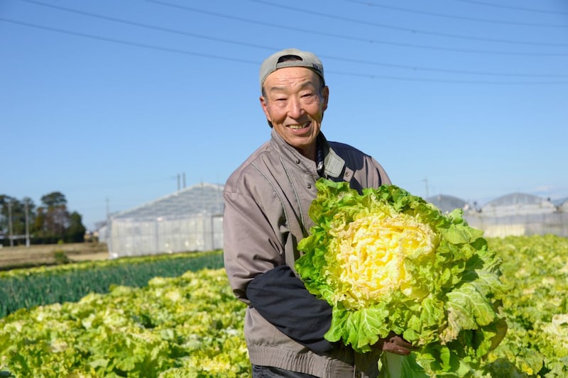 【シルバー派遣】【独自事業】ではどんな仕事があるの？