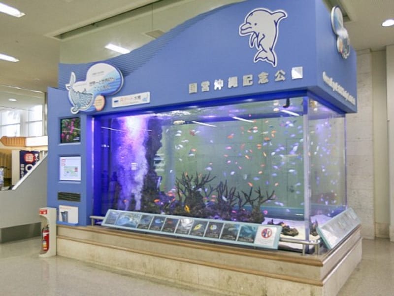 1階到着ロビーにある「水槽」にはカラフル熱帯魚が泳いでいます! ※写真提供:那覇空港ビルディング株式会社