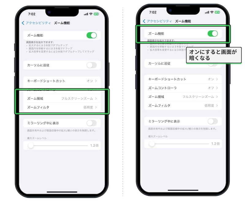 各種設定をして「ズーム」をオンにする