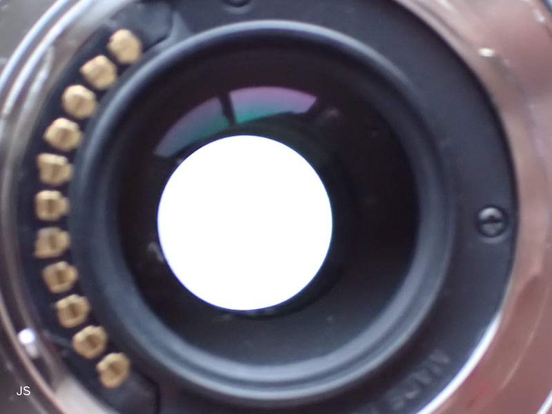 レンズ裏側からレンズ内にカビなどの汚れがないかを確認