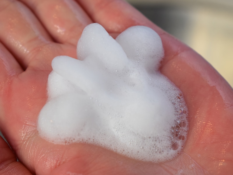 ミニーのファンダーランド