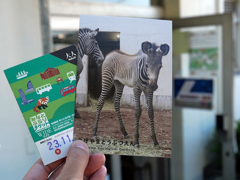 管理事務所でポストカードがもらえる!