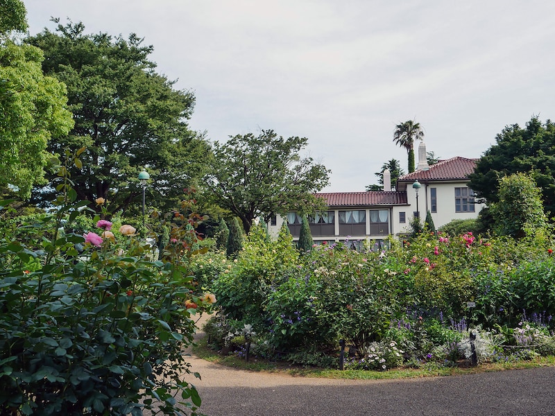 港の見える丘公園にはバラ園が整備されており、春と秋に楽しめる