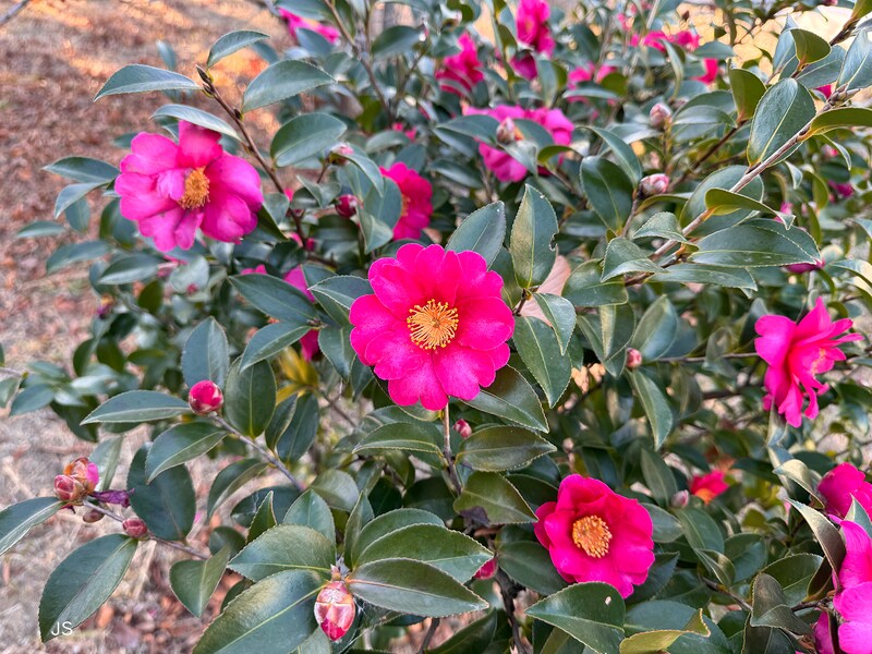 ズームレンズで24ミリの広角で撮影。背景が広く写っている。