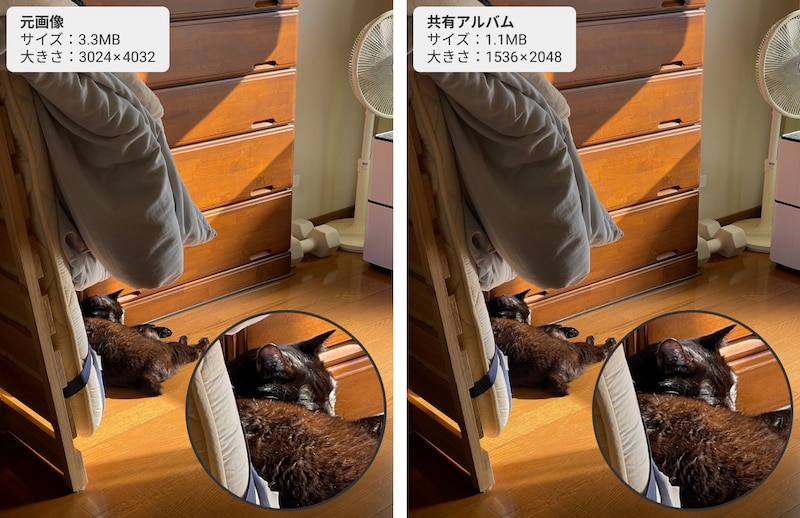 オリジナルと共有アルバムに保存した写真の比較