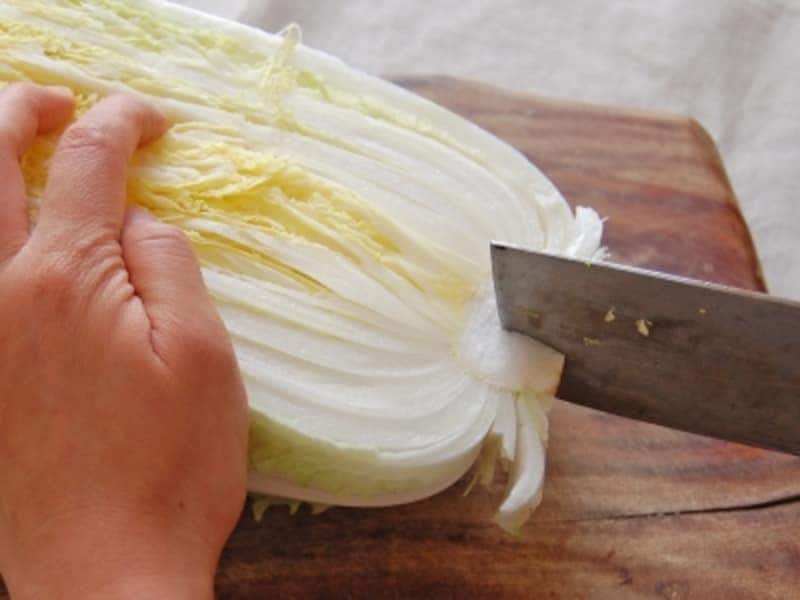 白菜の洗い方・下ごしらえ・切り方を解説