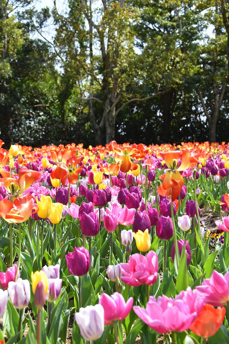 ハウステンボス