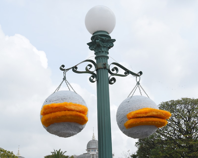 東京ディズニーランド