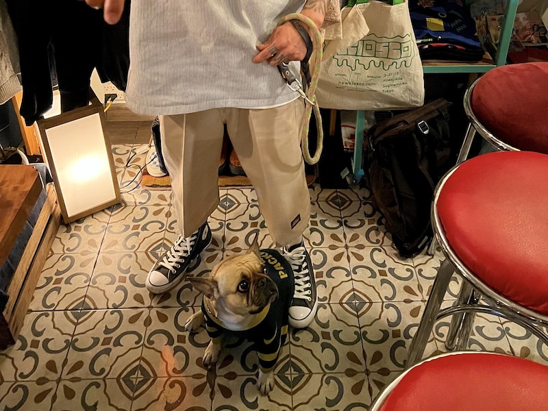 ビンテージショップに、ペットと入店する利用客