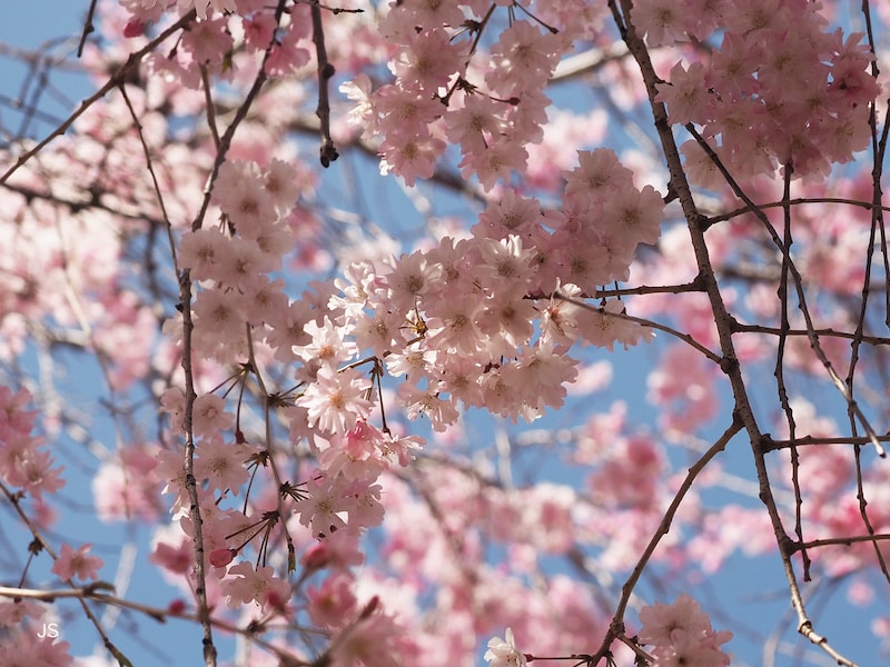 「寄り」の視点で少しずつピンポイントに絞りながら撮ってみる。