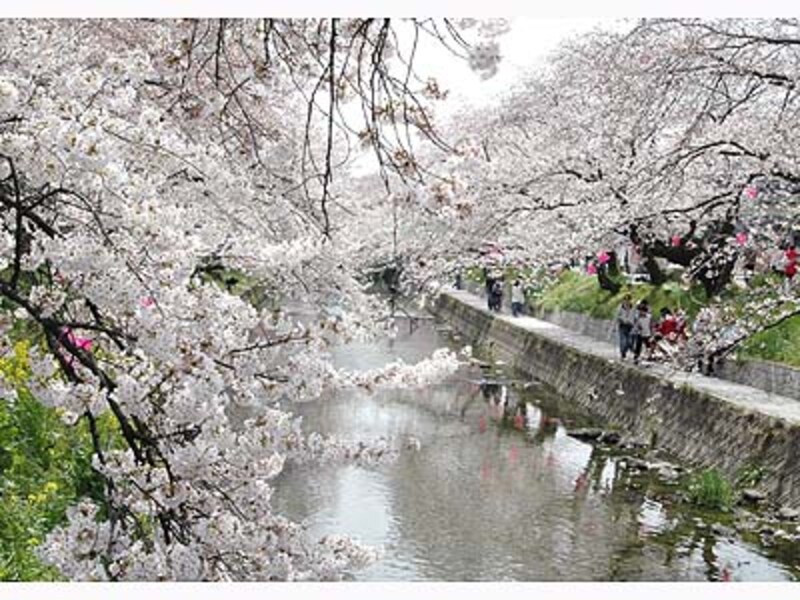 五条川