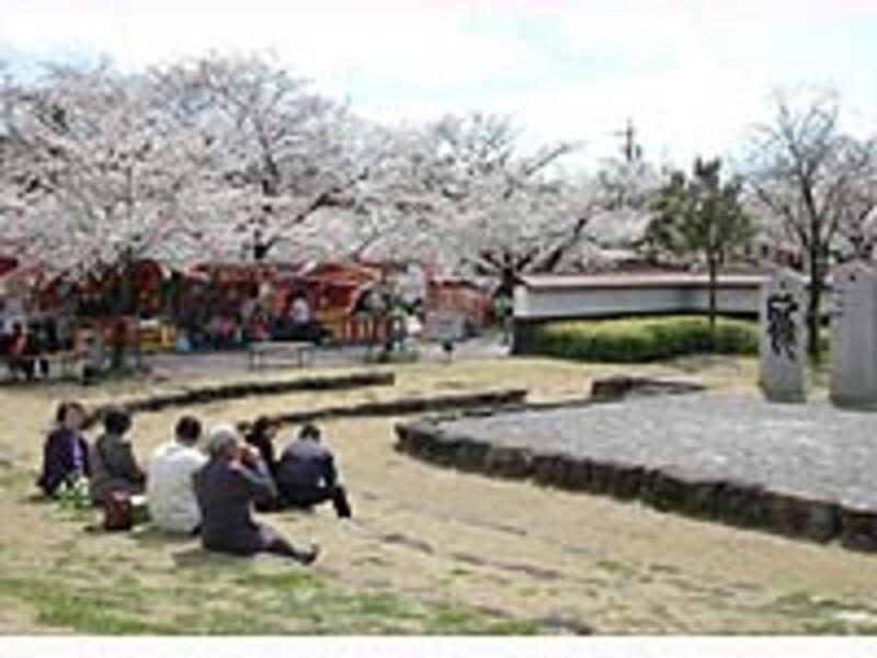 堀尾跡公園の桜