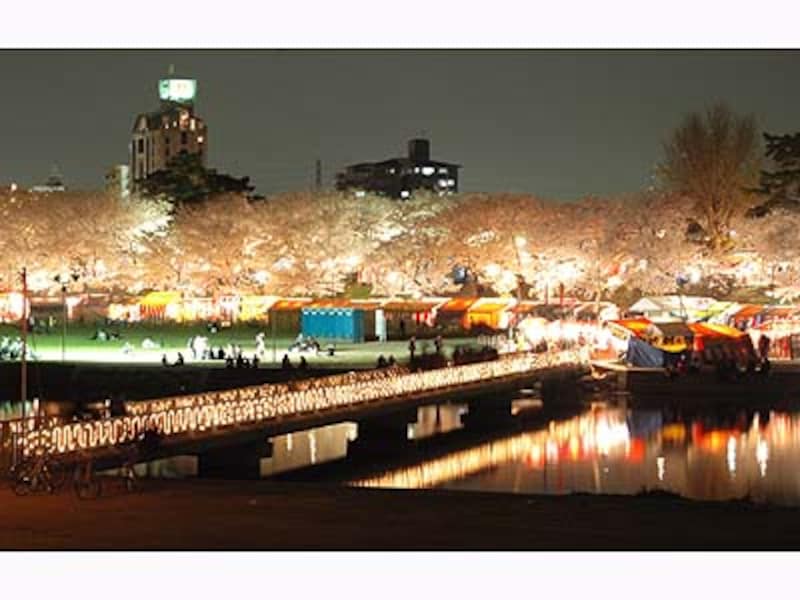 岡崎公園の南側から北側を望む