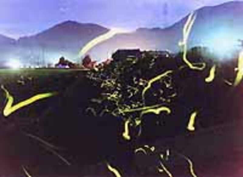 説明