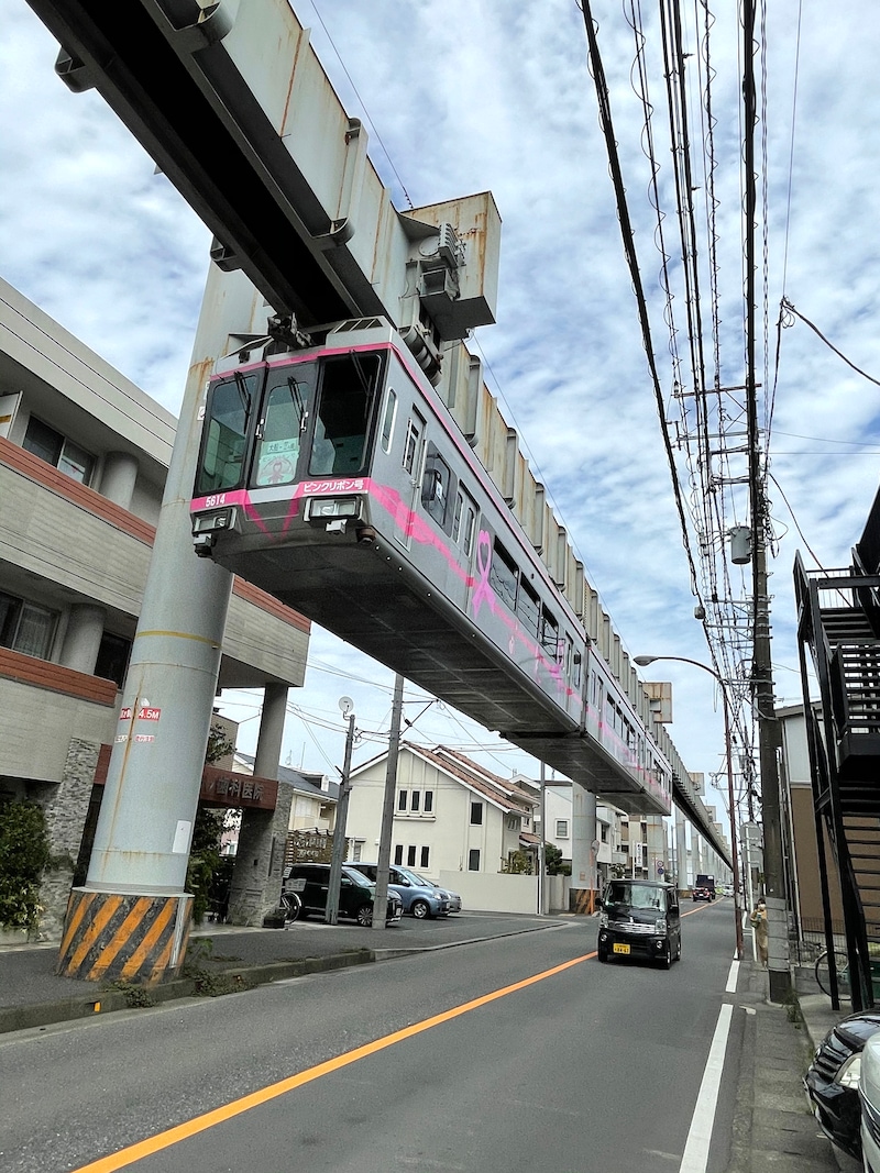 道路を走る車の上を行く、湘南モノレールの車両