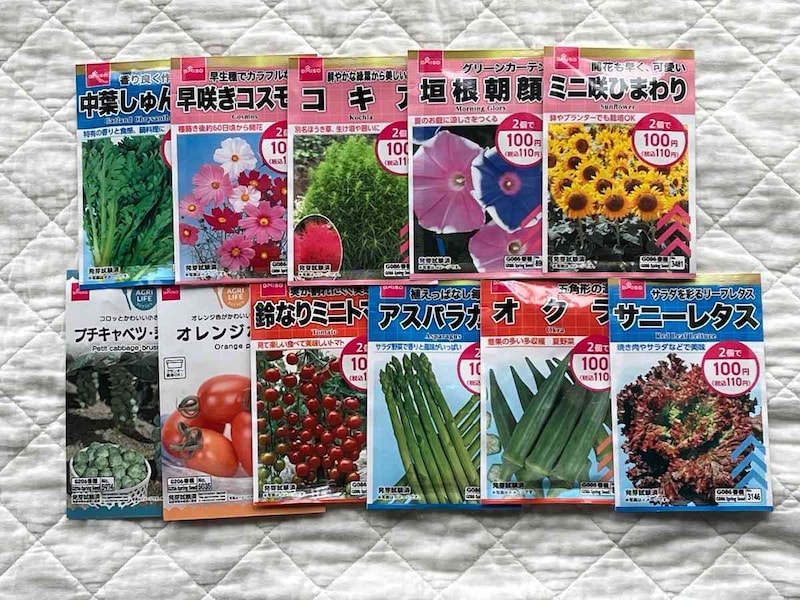 ダイソーの「種」は種類が豊富でおすすめ
