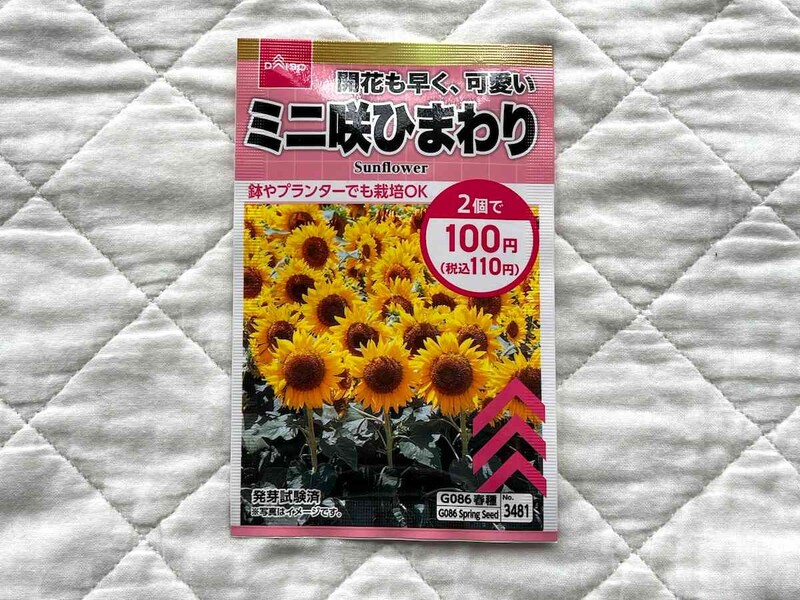 ダイソーの「ミニ咲ひまわりの種」
