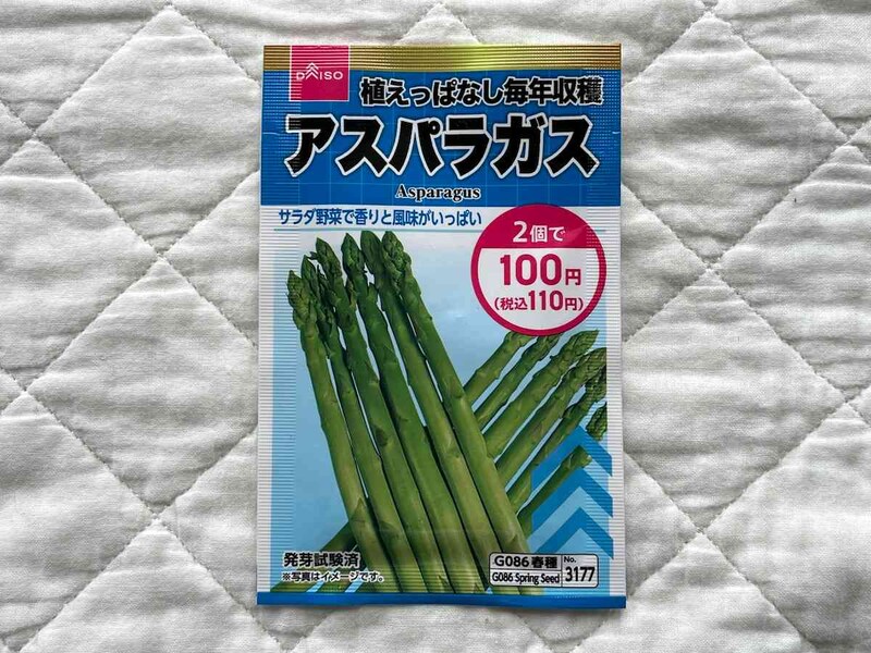 ダイソーの「アスパラガスの種」