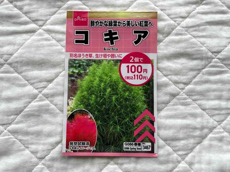 ダイソーの「コキアの種」