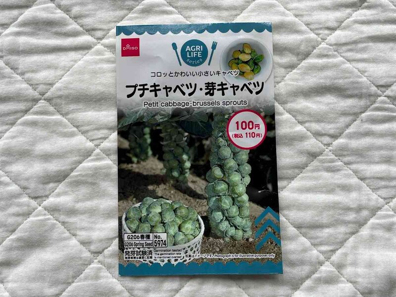 ダイソーの「プチキャベツ・芽キャベツの種」