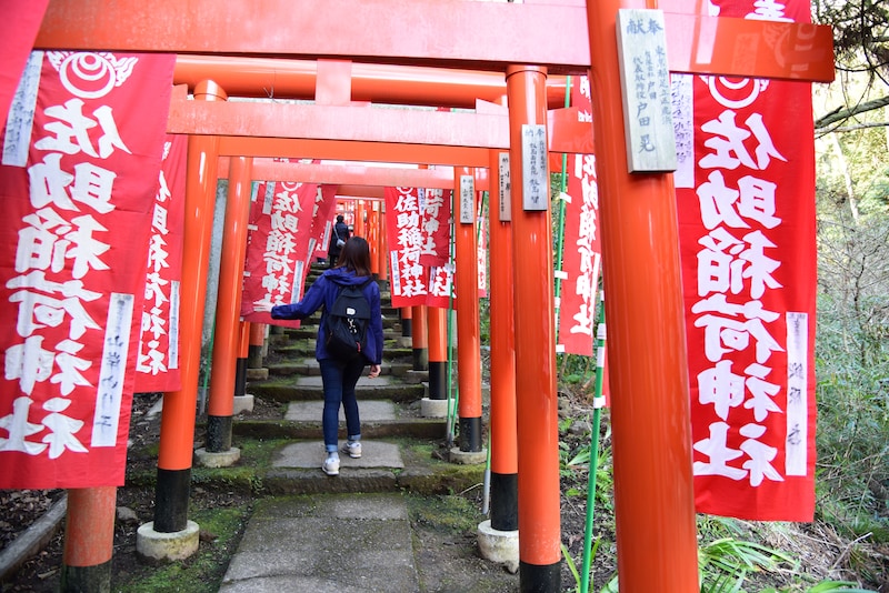 佐助稲荷神社参道の無数の朱色の鳥居