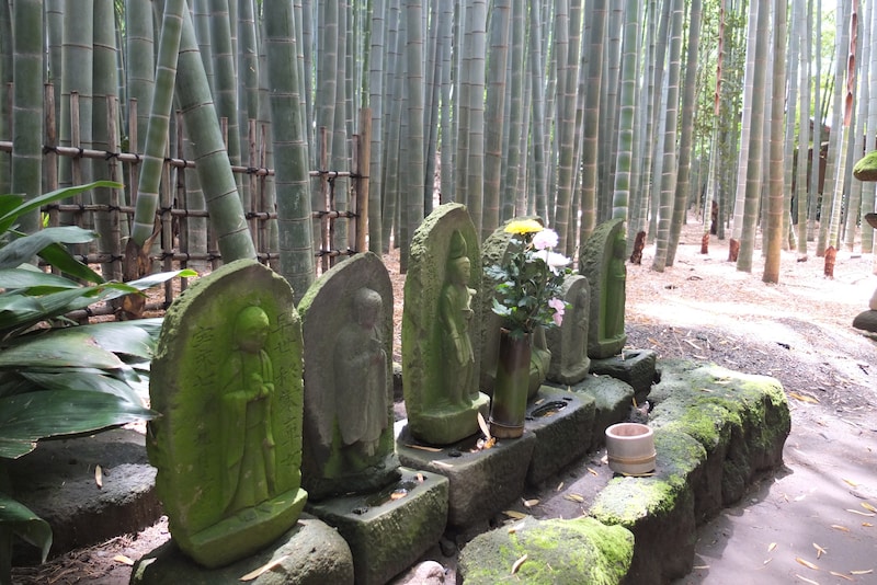 報国寺の竹の庭