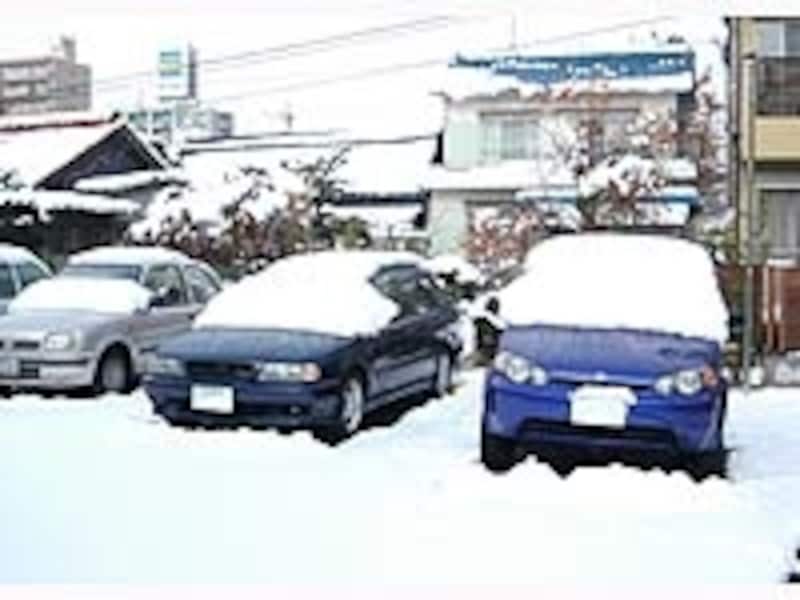たま～にだがこんなに雪が積もることも