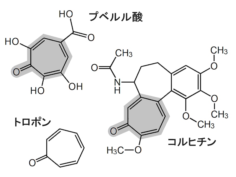 プベルル酸,トロポン,コルヒチン