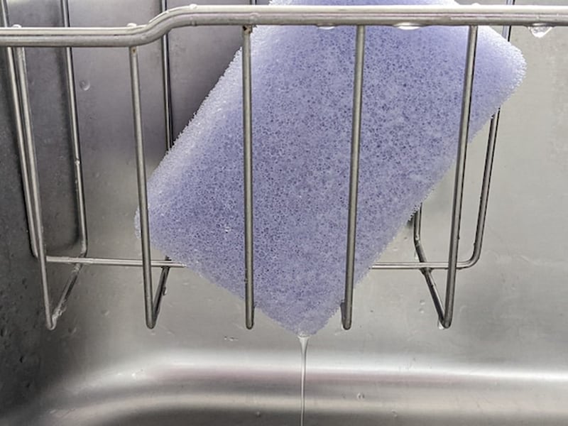 スポンジの水はしっかり切り乾燥させる