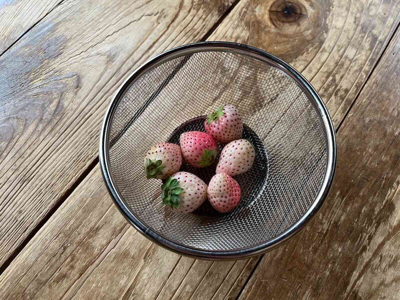 セリアの「ステンレス丸型ザル」は小さめサイズでいちごやブルーベリーなどの果物にもおすすめ