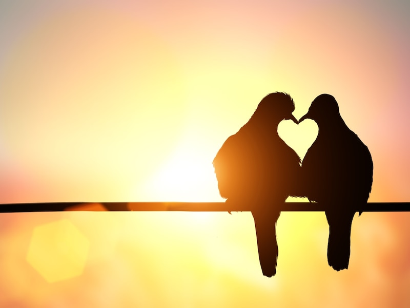 ラブラブ夫婦は「キス」を試みる